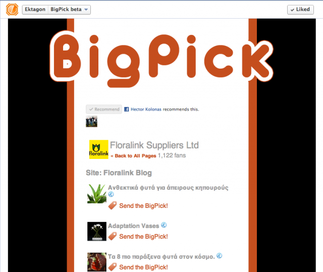 BigPick - Latest Feed Items