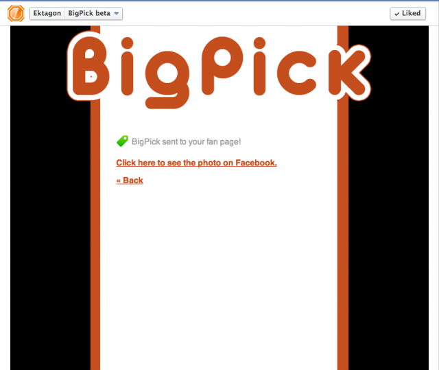 BigPick - Picture Sent